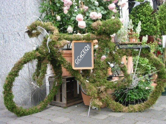 Tour de Herne