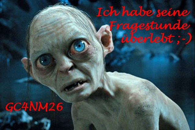 Des Hobbits Fragestunde