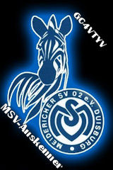 MSV ABC